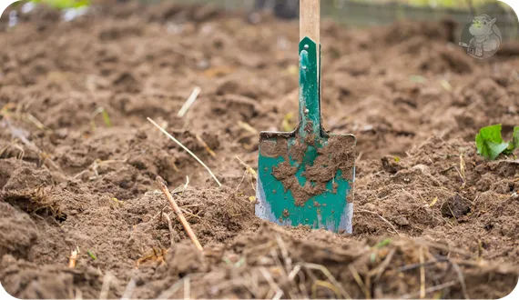 szpadel ostry do pracy w trudnej glebie
